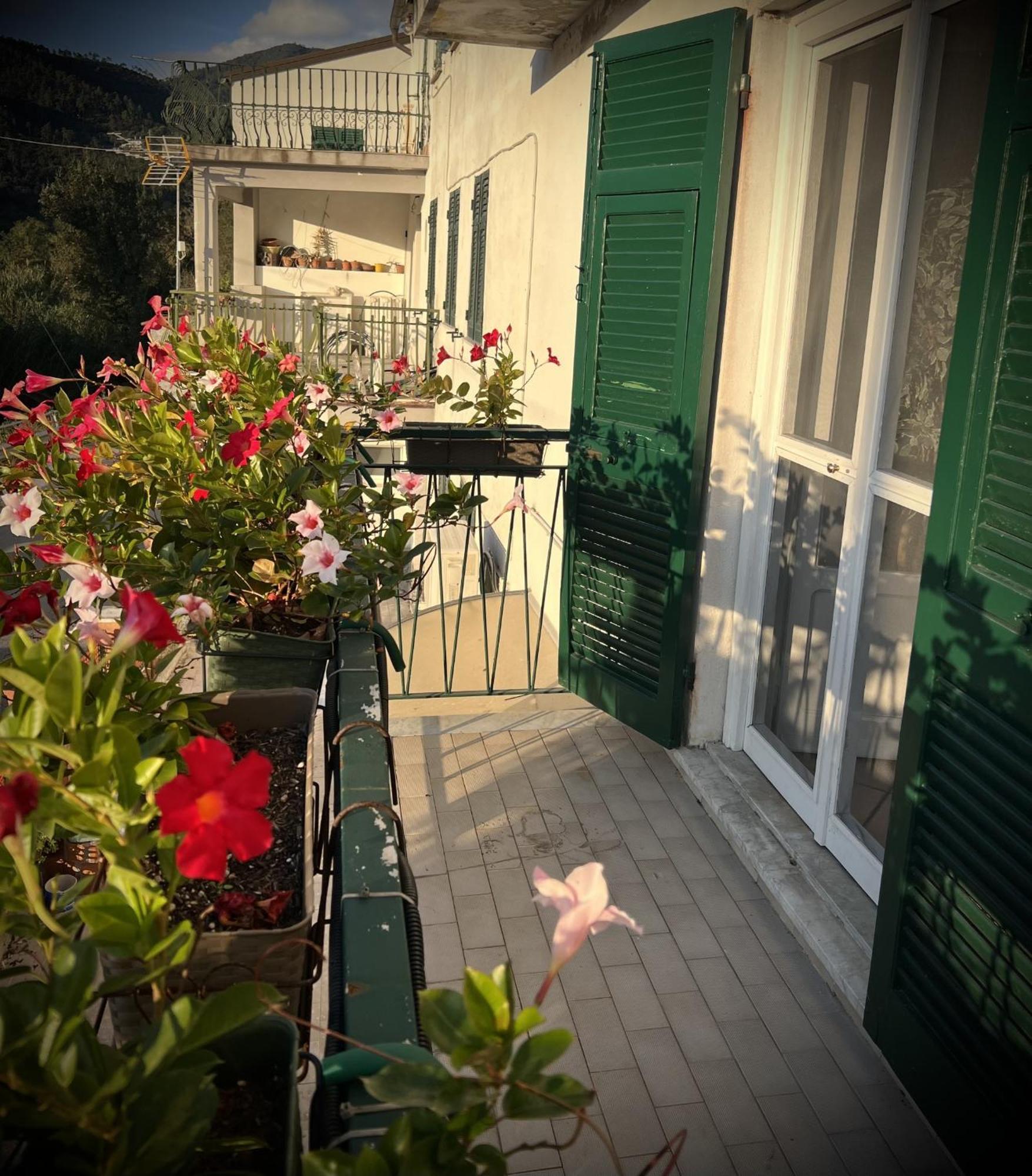 Evelyn'S Home - Giardino&Bbq 东塞斯特里 外观 照片